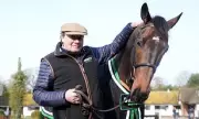 Constitution Hill Withdrawn from Cheltenham Festival Amid Safety Concerns