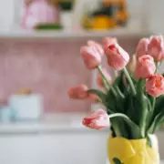 Copper Coin Trick Extends Tulip Vase Life by Weeks, Experts Reveal