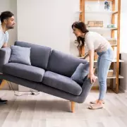 Couple Discovers Cat Trapped Inside Second-Hand Sofa After Hearing Mysterious Noises