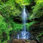 Craigie Linn: Scotland's Fairytale Waterfall Shines in Winter's Grip