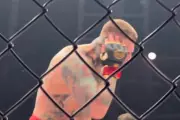 Czech MMA Fighter Attacked by Crowd After Ear-Biting Incident in No-Rules Bout