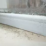 Daily 'House Burping' Essential to Combat Winter Condensation