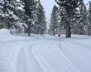 Deadly Avalanche in Sierra Nevada Marks Fourth Deadliest in US History