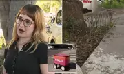 Delivery Robot Wreaks Havoc in LA Garden, Sparks Safety Concerns
