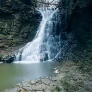 Discover Hareshaw Linn: A Historic Waterfall Walk Through Ancient Woodland