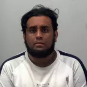 Dog Owner Demands Excavation at Rescue Centre Where 41 Pets Died