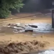 Dozens of Coffins Float Through Brazilian Streets in Devastating Flash Floods