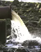 English Water Firms Amass 1,200 Pollution Convictions, Yet No CEOs Face Charges