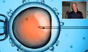 Epstein Emails Reveal Plan to Fund 'Designer Baby' Venture with Human Cloning Ambitions