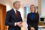 EU's Kallas Rejects European Army as 'Extremely Dangerous' Amid NATO Tensions