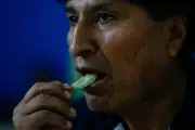Evo Morales' Month-Long Disappearance Sparks Political Frenzy in Bolivia