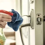 Experts Urge Households to Spray Vinegar on Doors Before March for Pest Control