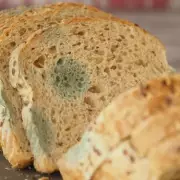 Experts Warn Against Eating Mouldy Bread: Hidden Dangers Revealed