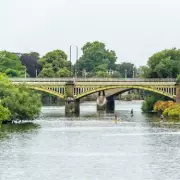 Father Who Threw Kittens Off Bridge While Shouting 'Let Them Die' Avoids Jail