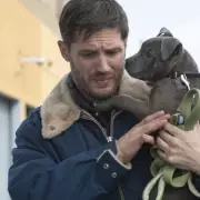 Film4 Airs 'The Drop' Tonight: Tom Hardy & James Gandolfini's Final Role