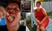 Food Vlogger Dies After Eating Toxic Devil Crab in Social Media Video