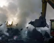 Foot and Mouth Crisis: 25 Years On, Lessons from the 2001 Epidemic