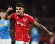 Forest's Frustration Mounts as Wasteful Display Costs Vital Points Against Wolves