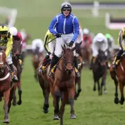 Four Lucky Cheltenham Fans to Win All-Expenses Paid Trip to Benidorm for 2026 Festival