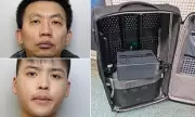 Gang Jailed for £600k Tube SMS Scam Using Suitcase Devices
