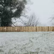 Gardeners Warned: Avoid This February Task for Lush Spring Lawns