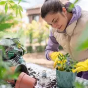 Gardening Expert Warns: Check Your Potted Plants Now to Avoid Common Mistakes