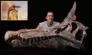 Giant 'Dragon-Like' Dinosaur Fossil Discovered in Sahara Desert