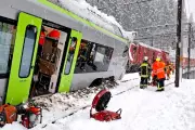 Global News Roundup: Swiss Train Derailed, Russia Denies Frog Poison Claims