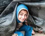 Global Snapshot: Palestinian Hardships, Protests, and Royal Visits Mark Wednesday