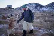 Greenland's Sled Dog Champion Fears Cultural Loss as Ice Melts Away