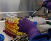 GSK Share Price Surges Past £20 on Strong 2025 Results, Marking a Turnaround