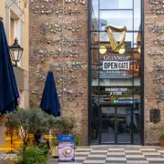 Guinness's New London Brewery Faces Backlash Over High Prices and Cold Seating