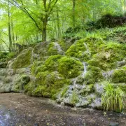 Hackfall Woods: Yorkshire's Restored 18th-Century Woodland Wonder