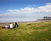 Half of UK Beaches Now Contain Human-Made Materials, Glasgow Study Reveals