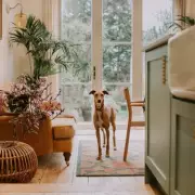 Home Bargains £1.59 Cleaner Transforms Pet Odours into Spa-Like Scents