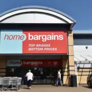Home Bargains' £3 Lotus Lights Challenge B&Q's £23 Version