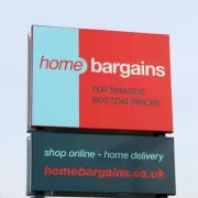 Home Bargains Garden Ornaments Spark Debate Among Shoppers