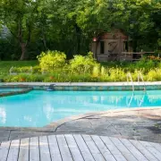 Homeowner's Pool Privacy Battle with Demanding Neighbours Escalates