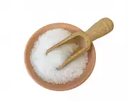 Houseplant Hacks Exposed: The Oats and Epsom Salts Myth Debunked