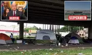 Houston's $16 Million Homeless Superhub Faces Resident Backlash Over Safety Concerns