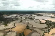 Illegal Gold Mining Expands in Peru's Amazon, Causing Environmental Havoc