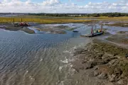 Innovative Harbour Mud Scheme Restores Eroding Saltmarsh in Lymington