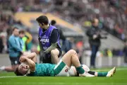 Ireland's James Lowe Ruled Out of Six Nations with Groin Injury