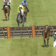 Irish Jockey Cleared of Deliberate Fall Allegations After Wexford Race Controversy