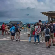 Japan's Iconic Cherry Blossom Festival Axed Due to Tourist Misconduct