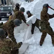 Japan's Snow Crisis: 35 Dead, 400 Injured as Military Deployed to Clear 6.5ft Snow
