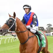 Jockey Noel Callow Banned Again for Racist Conduct in Video Scandal