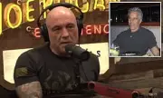 Joe Rogan Slams Trump Over Epstein 'Hoax' Claims, Reveals Refusal to Meet Billionaire