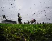 Kdeux Saint Fray Aims to Challenge Emmet Mullins's Kempton Record