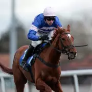 Kempton Racing Delayed After Fatal Injury to Dan Skelton Favourite Precious Man